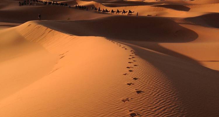 BEST OF MOROCCO 8 DAYS - Easygo Tours 7