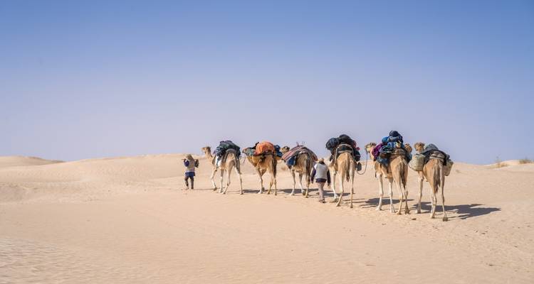 Tunisia 7 Day Desert Camel Trek - Depart Travel Services 1