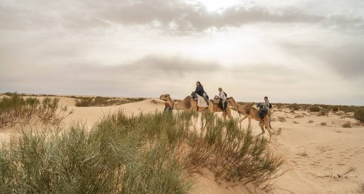 Tunisia 7 Day Desert Camel Trek - Depart Travel Services 2