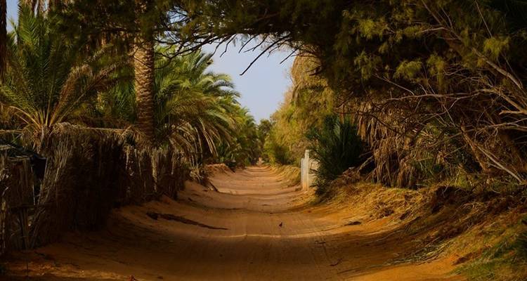 Tunisia 7 Day Desert Camel Trek - Depart Travel Services 8