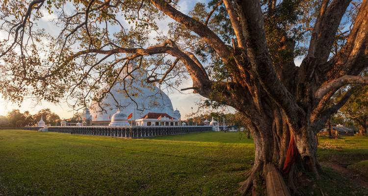 Serenidad y Aventura - Una Odisea de 16 Días por las Maravillas de Sri Lanka - Apple Vacations Pvt Ltd 1