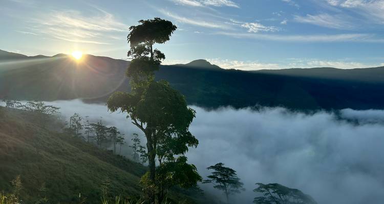 Serenidad y Aventura - Una Odisea de 16 Días por las Maravillas de Sri Lanka - Apple Vacations Pvt Ltd 3