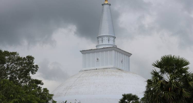 Serenidad y Aventura - Una Odisea de 16 Días por las Maravillas de Sri Lanka - Apple Vacations Pvt Ltd 4