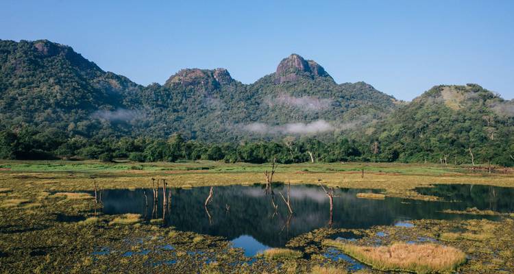 Serenidad y Aventura - Una Odisea de 16 Días por las Maravillas de Sri Lanka - Apple Vacations Pvt Ltd 8
