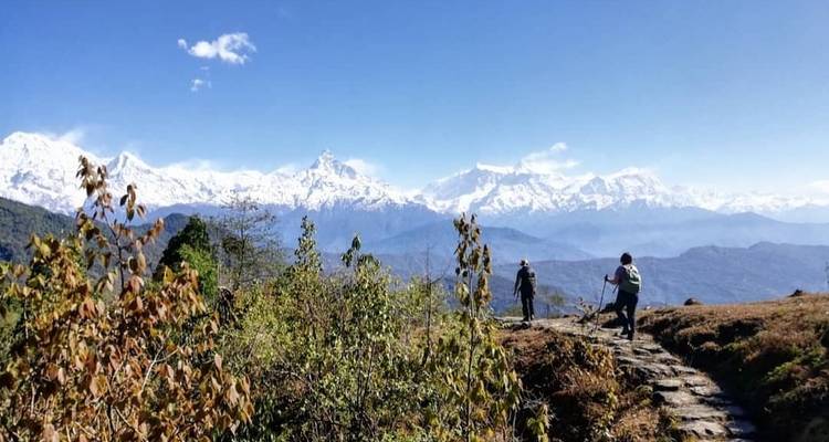 Panchase Hill Trek - Sherpa Expedition & Trekking Pvt. Ltd. 10