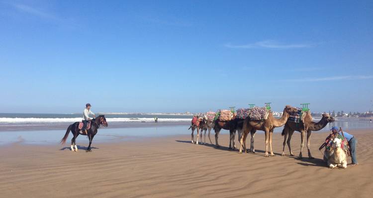 Morocco Express 6 Days and 5 Nights - Easygo Tours 4