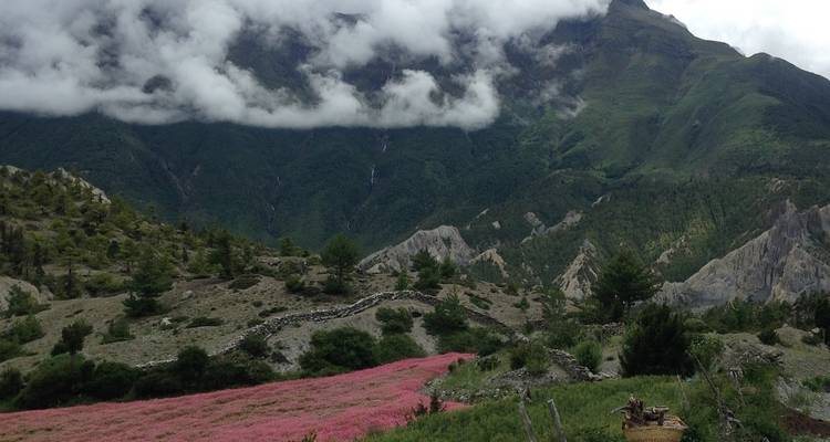 Circuit de l'Annapurna Trek 14 jours - Sherpa Expedition & Trekking Pvt. Ltd. 10