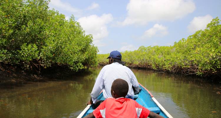 Senegal Amistoso, 8 días 7 noches - Africa For Tourism 6