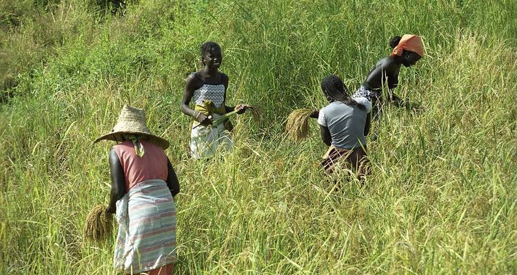 Tribus du Sénégal, 10 jours - Africa For Tourism 6
