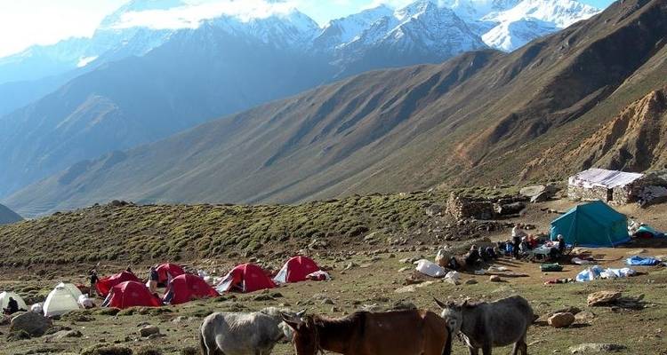 Viaje al Tíbet central por tierra - 12 días - Trekking Team Group 8