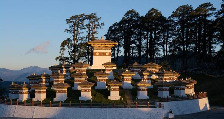Sacred site with stupas amidst tall trees at sunrise.