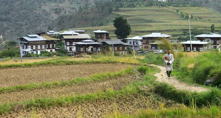 Man walking along rice fields with traditional Bhutanese homes in the background.