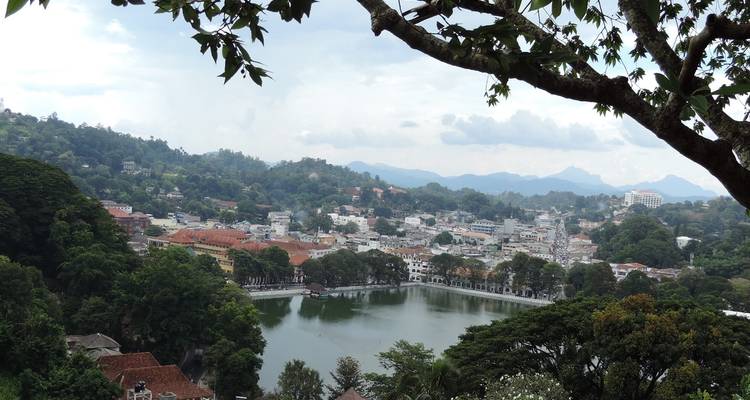 Un été magnifique à l'est et au centre du Sri Lanka - 09 jours [Budget abordable] - showlanka tours  10