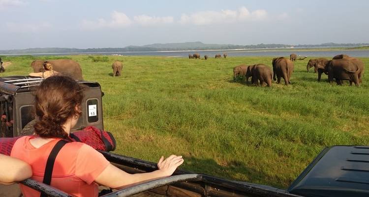 Un été magnifique à l'est et au centre du Sri Lanka - 09 jours [Budget abordable] - showlanka tours  6