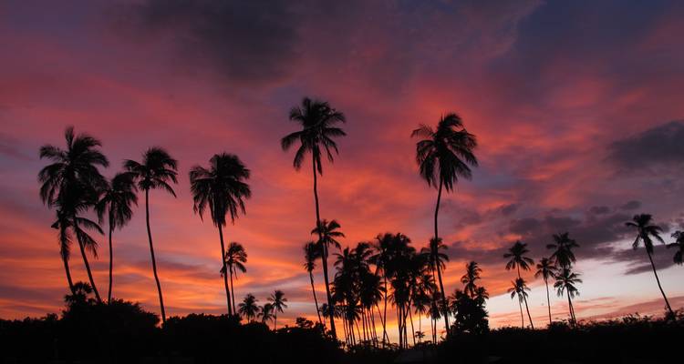 Un été magnifique à l'est et au centre du Sri Lanka - 09 jours [Budget abordable] - showlanka tours  1