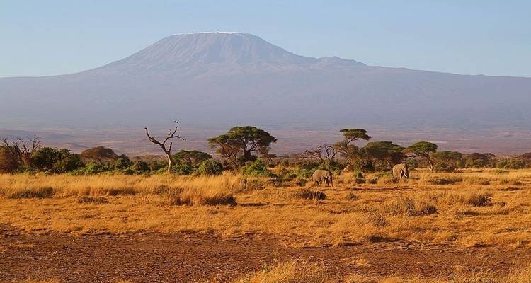 Safari de 3 días al Parque Nacional de Amboseli - Africa Vacation Safaris 8