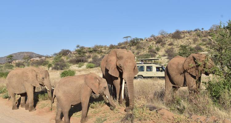 Safari de 3 días al Parque Nacional de Amboseli - Africa Vacation Safaris 2