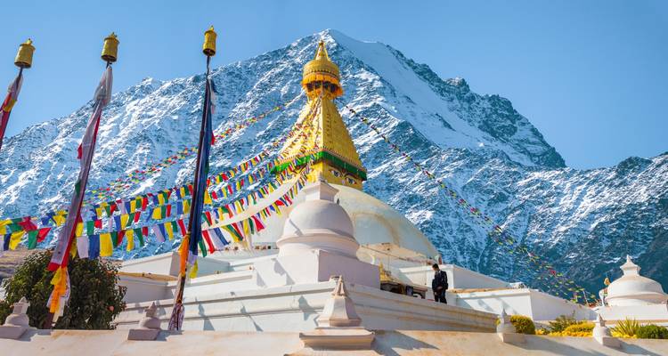 Stupa surrounded by prayer flags against a mountainous backdrop.
