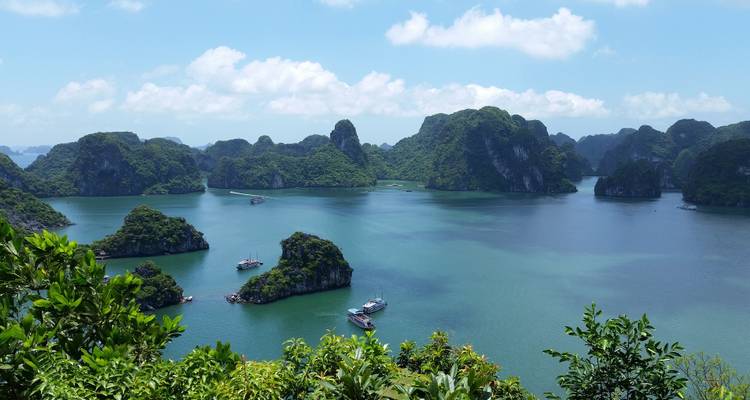 Vista panorámica sobre aguas turquesas e islas de piedra caliza exuberante y verde en la Bahía de Halong.