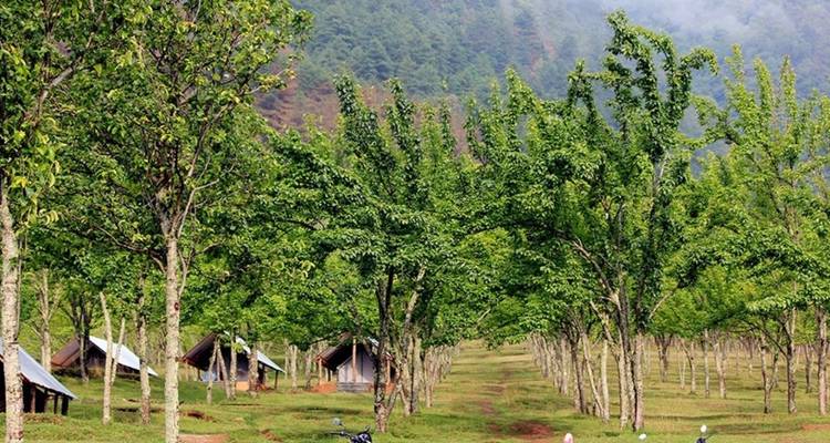 Chitlang Homestay excursionismo - vida local en Nepal - Trekking Team Group 2