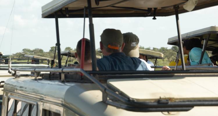 5 jours de safari privé en milieu de gamme dans tous les parcs du circuit nord de la Tanzanie - African Polecat Safaris 9