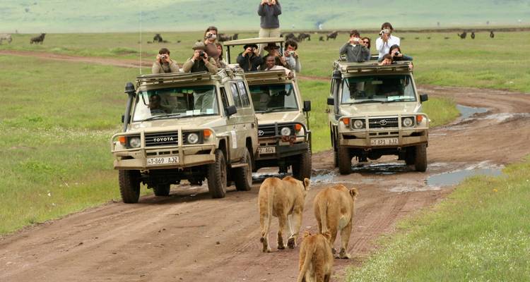Safari de 3 días en albergue en Tanzania - Hazzes Adventure 1