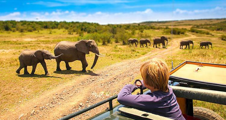 Ein Kind, das Elefanten von einem Safari-Fahrzeug aus beobachtet.