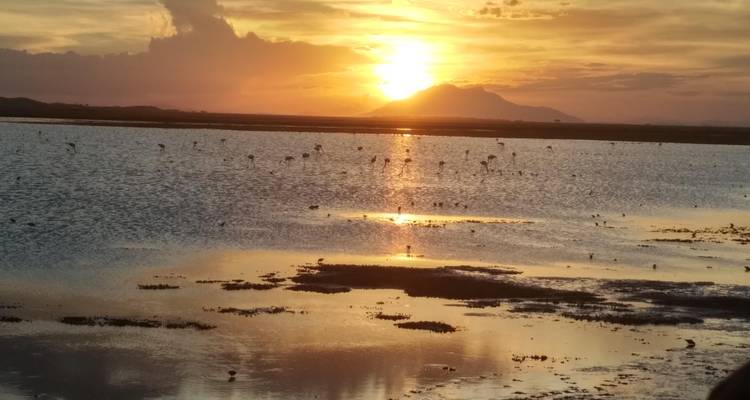 6 Day Kenya Cultural Safari - Holiday Destination Safaris 8