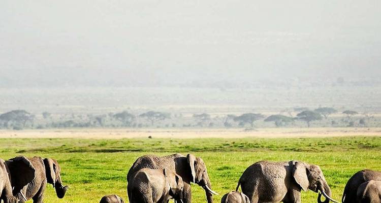 Safari culturel de 6 jours au Kenya - Holiday Destination Safaris 10