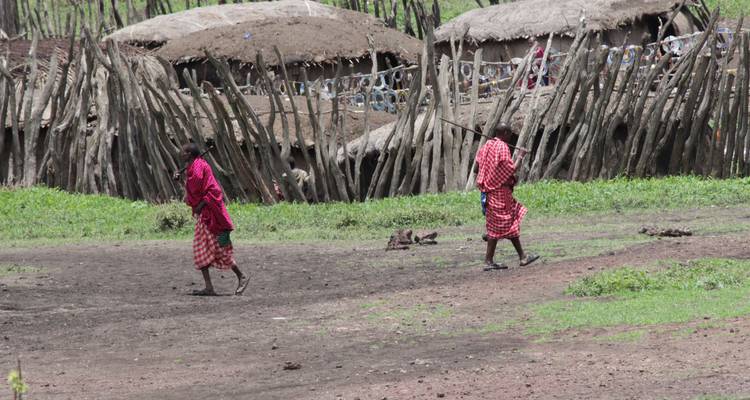 Safari de 2 días en campamento por Tanzania - Hazzes Adventure 4