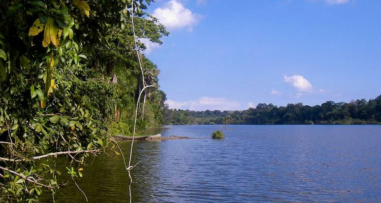 Collpa de guacamayos de Tambopata 2D - 1N - CondeTravel 9
