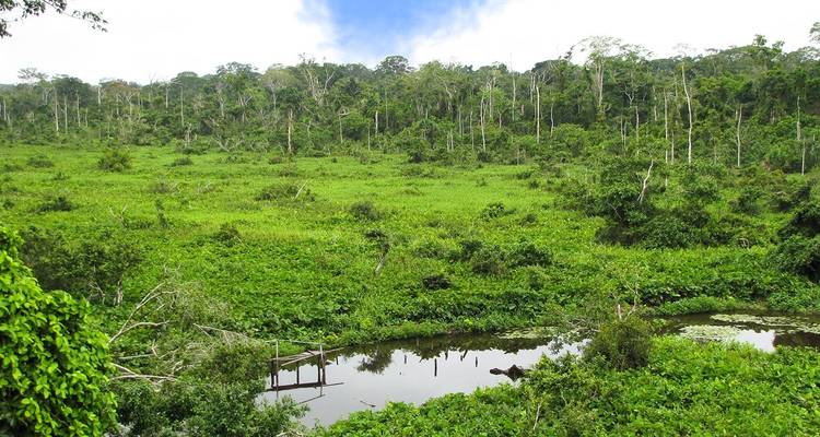 Collpa de guacamayos de Tambopata 2D - 1N - CondeTravel 10