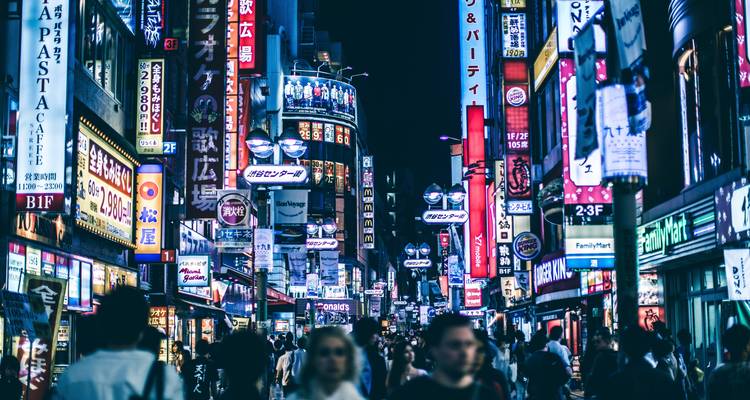 Japan Golden Route - MW Tours 10