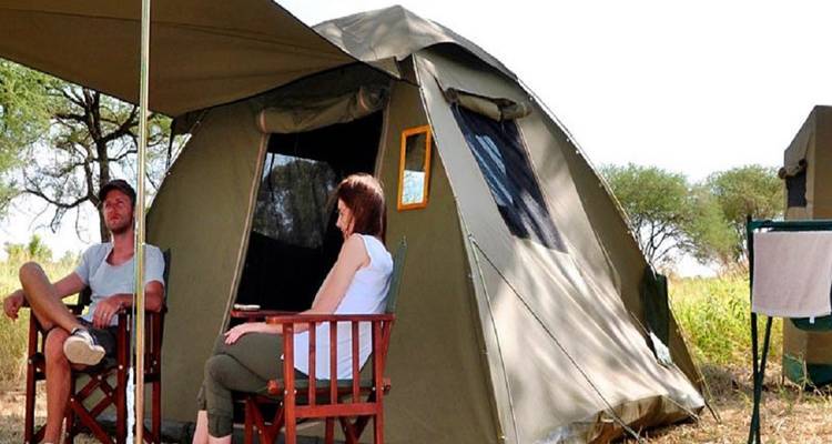 Best 2-Day Tanzania Joining Budget Group Safari - Best Price & Itinerary 2025/2026 - Africa Natural Tours 1