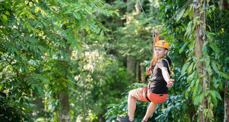 Persoon die ziplijnt door weelderig bos