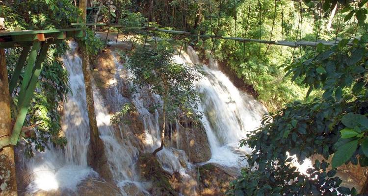 Waterval omringd door dicht groen gebladerte
