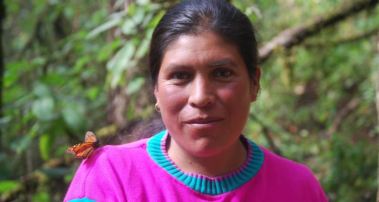 Monarch Butterfly Tour in Mexico - Eco Travel Mexico 6