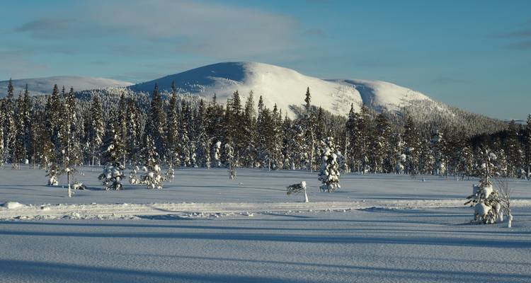 Cross-Country Skiing in Lapland - Exodus Adventure Travels 6