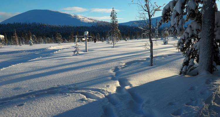 Cross-Country Skiing in Lapland - Exodus Adventure Travels 7
