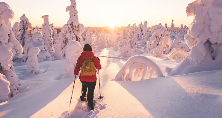 Cross-Country Skiing in Lapland - Exodus Adventure Travels 2