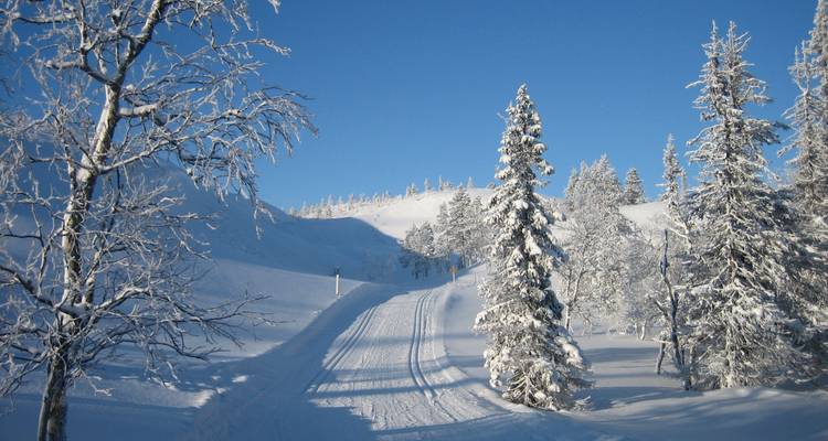 Cross-Country Skiing in Lapland - Exodus Adventure Travels 4