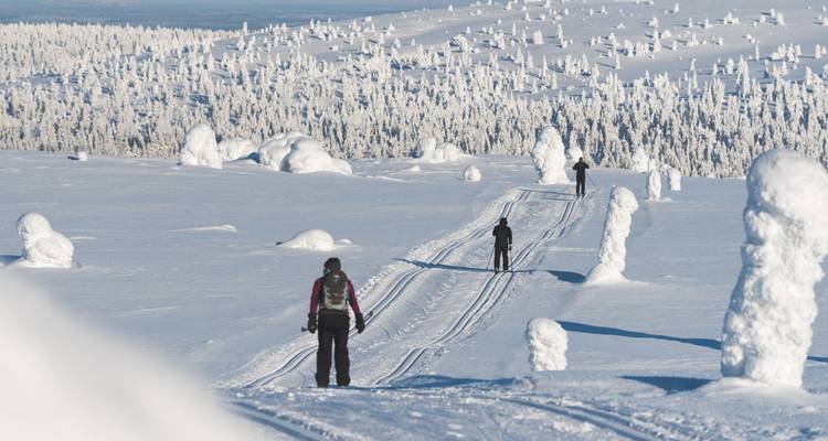 Cross-Country Skiing in Lapland - Exodus Adventure Travels 8