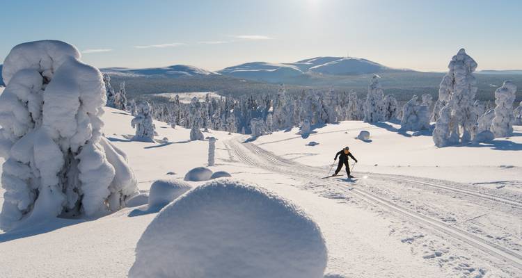 Cross-Country Skiing in Lapland - Exodus Adventure Travels 9
