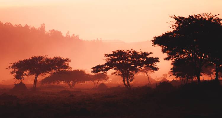 Safaris por Ruanda de 3 días de caminata por Bisoke y experiencia en los lagos Gemelos y Apicultura - sin alojamiento - African Travellers 7