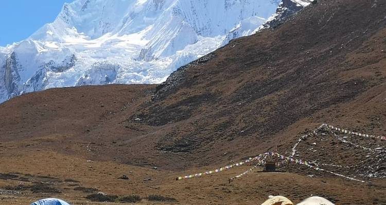 Menschen wandelen met besneeuwde bergen op de achtergrond.