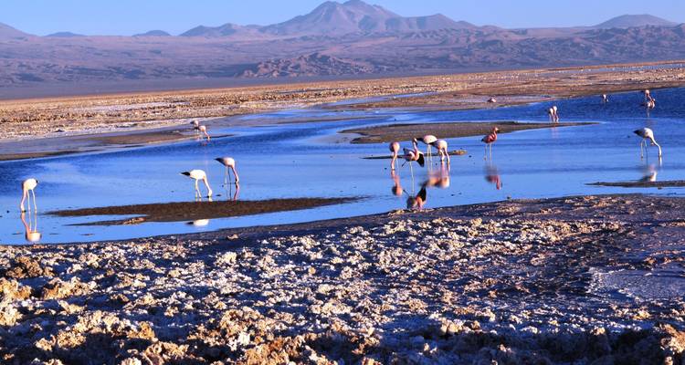 Maravillas de San Pedro de Atacama - 4 días /3 noches - Gray Line Chile 2
