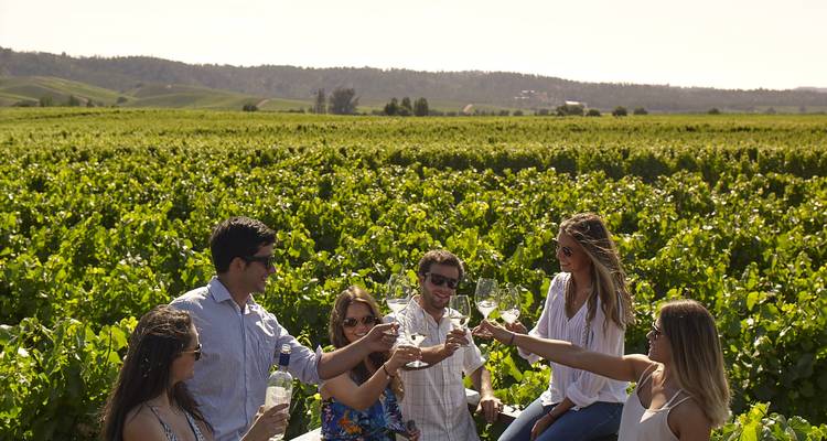 Santiago : Vallées et vins - 4jours/3nuits - Gray Line Chile 7