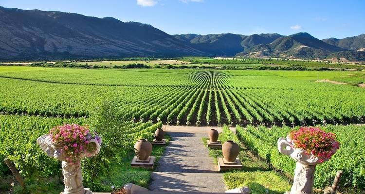 Santiago : Vallées et vins - 4jours/3nuits - Gray Line Chile 8