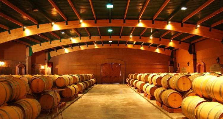 Santiago : Vallées et vins - 4jours/3nuits - Gray Line Chile 4