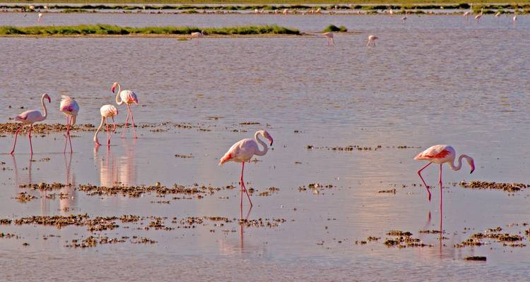 2 DAY HELL'S GATE NAIVASHA AND LAKE  NAKURU SAFARI - Bencia Africa Adventure and Safaris 3